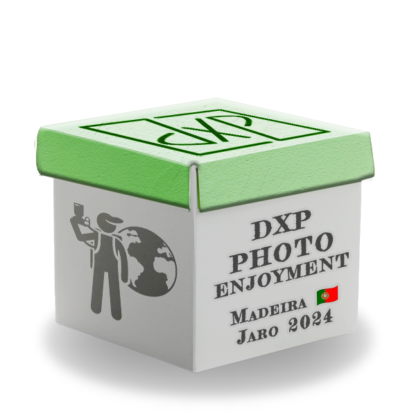 Madeira 🇵🇹 Jaro 2024